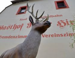 Pension Gasthof und Hotel Roter Hirsch Dış Mekan