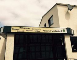 Pension Lindenhof Dış Mekan