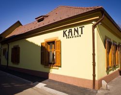 Pensiunea Kant Dış Mekan