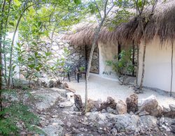 Pepem Eco Hotel Tulum at the Jungle near by from at least 10 Cenotes - Adults Only Dış Mekan