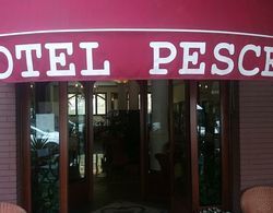 Hotel Pescetto Dış Mekan