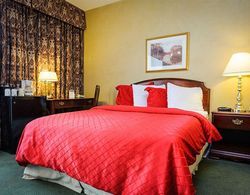 Peterborough Inn & Suites Hotel Genel