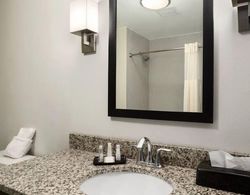 PetroStay Inn & Suites Cotulla Banyo Tipleri