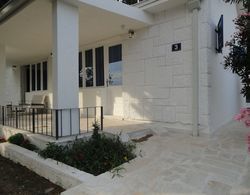 Petrovac Holiday House with pool Dış Mekan