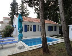 Petrovac Holiday House with pool Dış Mekan