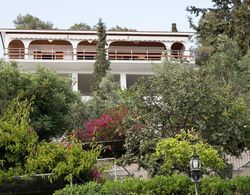 Phaedrus Living Sea View Villa Aegina Dış Mekan