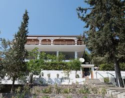 Phaedrus Living Sea View Villa Aegina Dış Mekan