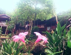 Phi Phi Green Hill Resort Öne Çıkan Resim
