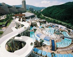 Phoenix Pyeongchang Resort Havuz