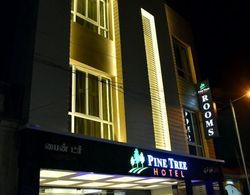 Hotel Pine Tree Dış Mekan