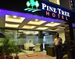 Hotel Pine Tree Dış Mekan