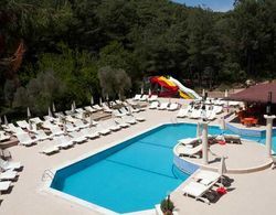 Hotel Pine Valley Havuz