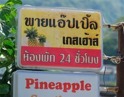 Pineapple Guesthouse Dış Mekan