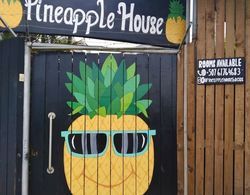 Pineapple House Dış Mekan