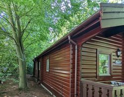 Pineshadow Lodge - Stunning 4 Bed - Kenwick Park Dış Mekan