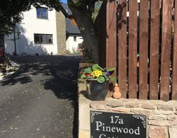 Pinewood Cottage Dış Mekan
