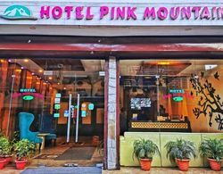 Hotel Pink Mountain Dış Mekan