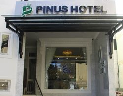 Pinus Hotel Dış Mekan