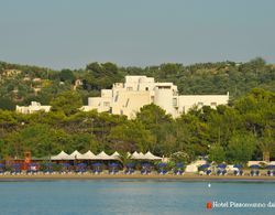 Pizzomunno Vieste Palace Hotel Genel