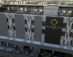 Hotel Plaza Del Lili Dış Mekan