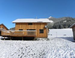 Plush Chalet in Hohentauern With Sauna & Bubble Bath Dış Mekan