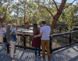 Port Stephens Koala Sanctuary Dış Mekan