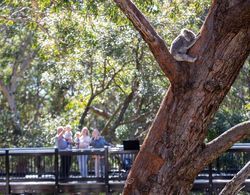 Port Stephens Koala Sanctuary Dış Mekan