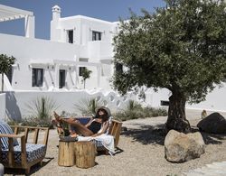 Portes Mykonos Suites & Villas Dış Mekan