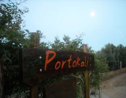 Portokali Hotel Apartments (12+) Genel