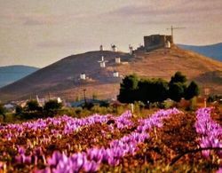 Posada de los Consules Consuegra Dış Mekan