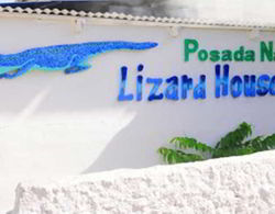 Posada Nativa Lizard House Genel