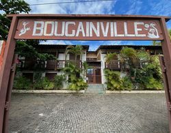 Pousada Bougainville Dış Mekan
