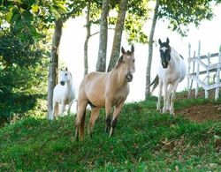 Pousada e Chalés Arco-Íris Dış Mekan