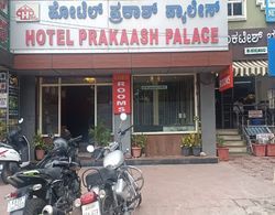 Hotel Prakaash Palace Dış Mekan