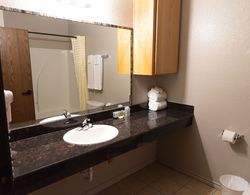 Premium Inn and Suites Banyo Tipleri