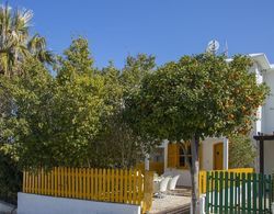 Protaras Dandelion Cottage Dış Mekan