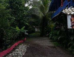 Puerto Viejo Ancora Blu Hostel Dış Mekan