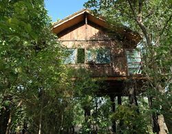Pugdundee Safaris- Tree House Hideaway Dış Mekan