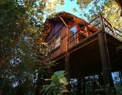 Pugdundee Safaris- Tree House Hideaway Öne Çıkan Resim