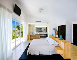 Punta Cana Villa Waterfall - Private Villa in The Dominincan Republic Oda