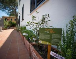 Hotel Punto Verde Dış Mekan