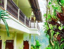 Puri Bunga Resort & Spa Genel