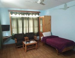 Purnima Guest House Kasol Oda Manzaraları