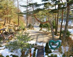 Pyeongchang Donghwasokjeongwon Pension Misafir Tesisleri ve Hizmetleri