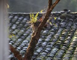 Qing Dynasty House Genel