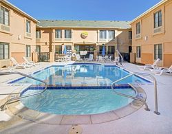 Quality Inn and Suites DFW South Havuz