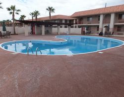 Quality Inn and Suites Lake Havasu Havuz