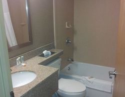 Quality Inn Central Albany Genel