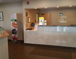 Quality Inn Central Albany Genel