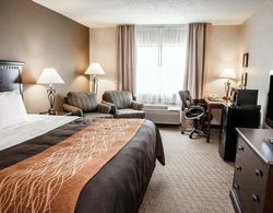 Quality Inn Seekonk-Providence Genel